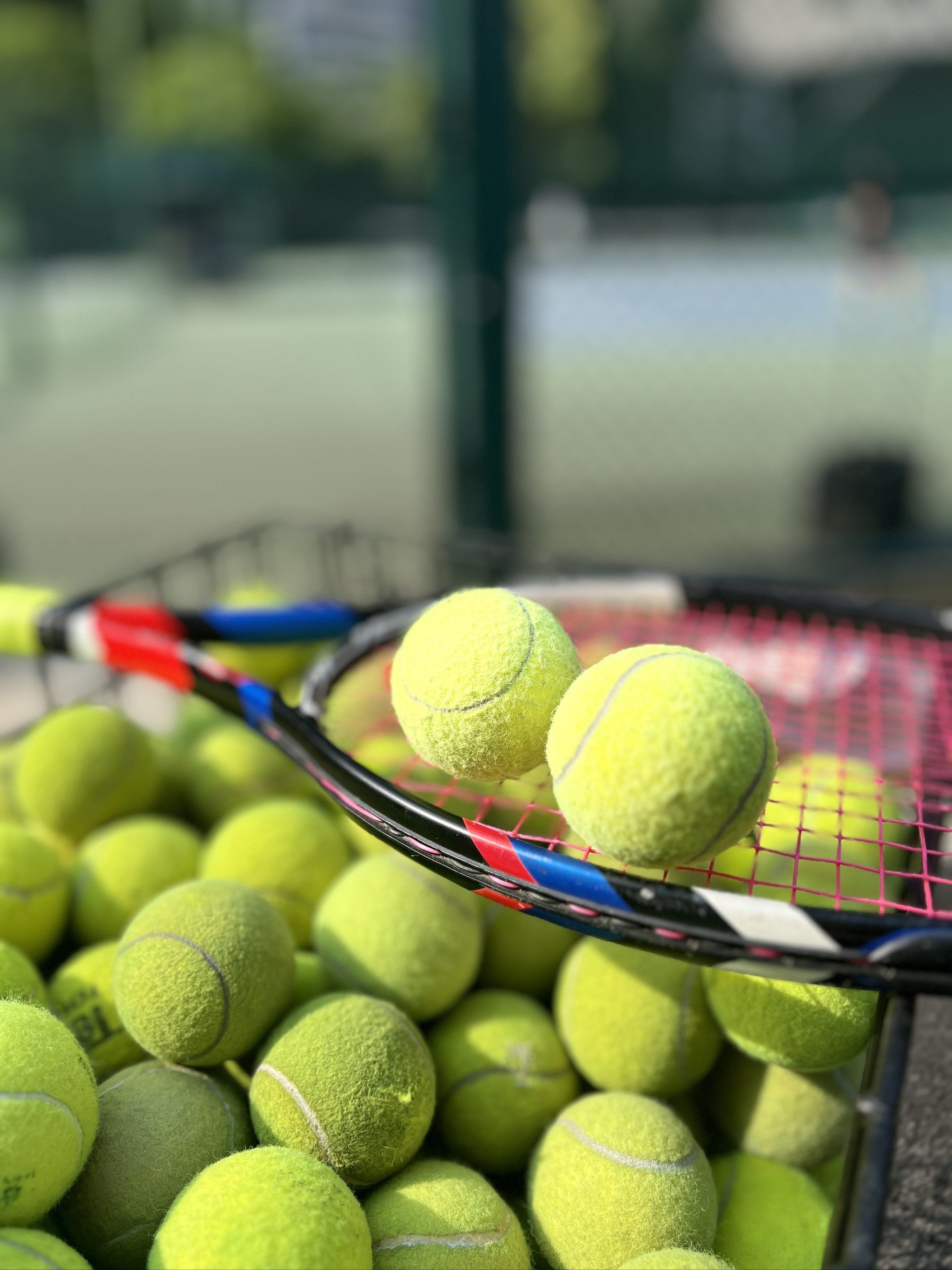 赛季中途接 赛季中途接